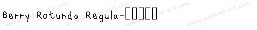 Berry Rotunda Regula字体转换